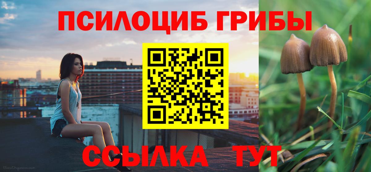 Псилоцибиновые грибы Psilocybe  Псилоцибиновые грибы Magic Shrooms  Вход с VPN  Полевской 